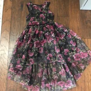 Little girls fancy dress